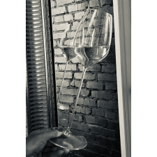Бокал для белого вина RIESLING 0,49 л 1423/15 Riedel MAX