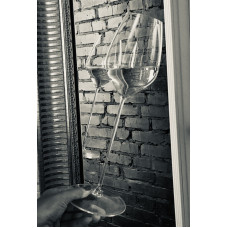 Бокал для белого вина RIESLING 0,49 л 1423/15 Riedel MAX Бокал для белого вина RIESLING 0,49 л 1423/15 Riedel MAX